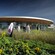A woman in a lab coat leads a tour outside